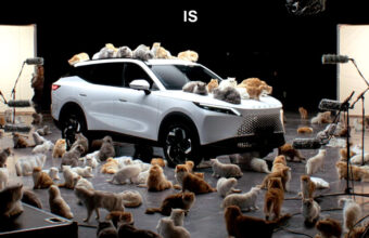 Chinese Brand Uses Dozens Of Fluffy Cats To Prove A Point