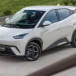 Como O Gato Pode Se Tornar Uma Lombada Pra BYD No Brasil