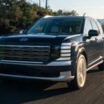 Falha Hyundai Palisade 2026 5 Feridos Fatalidade