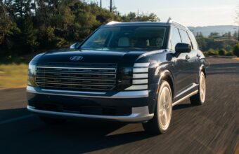 Falha Hyundai Palisade 2026 5 Feridos Fatalidade