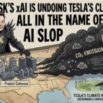 Ia De Musk Desfaz Esforcos Climaticos Da Tesla E Causa Bilio Hero Scaled
