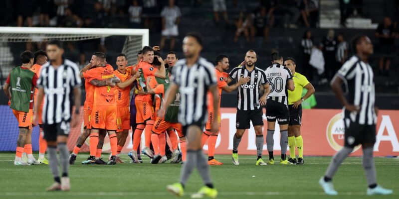 Performance Aquem Botafogo Sai Da Libertadores E Foca Na Sul
