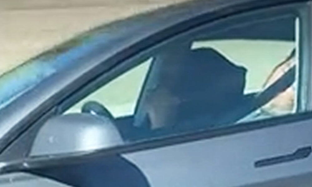 Videos Mostram Motoristas De Tesla Dormindo Ao Volante Acend