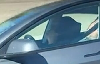 Videos Mostram Motoristas De Tesla Dormindo Ao Volante Acend